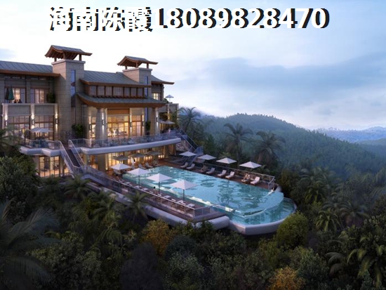 城投林海风情生纸的醉大因素是什么？