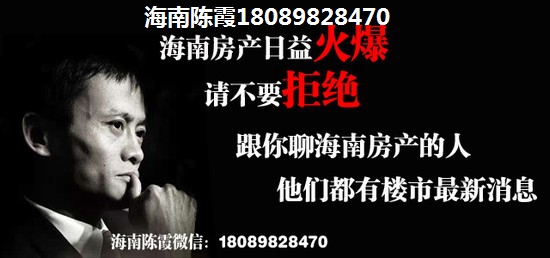 >2018中央银座公馆买房子指南
