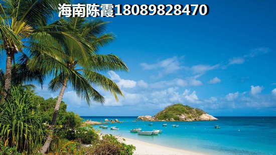 合隆中央公园买房