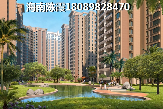 都市欧情VS心屿海分析对比