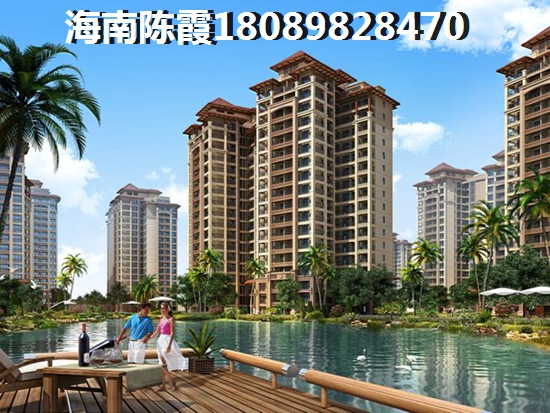 海南全域XG政策