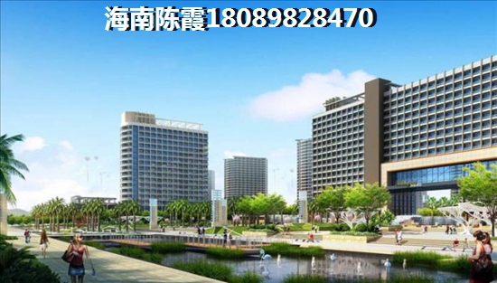 儋州鸿信南茶御景