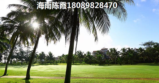 和风雅筑房子为何受欢迎