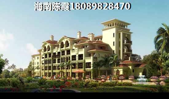 海南今后的发展前景在哪里