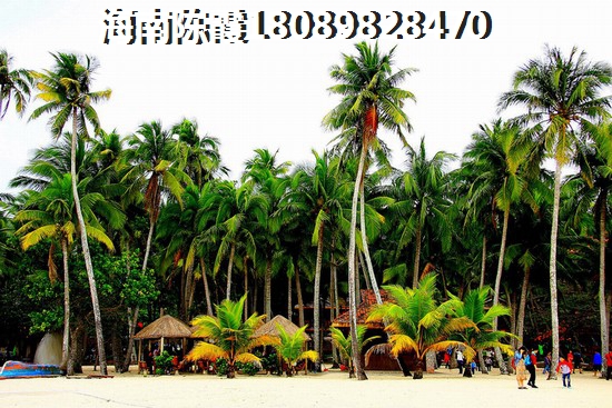 海南儋州白马井买房2022房子房价要下降吗？