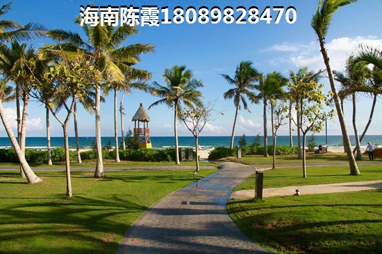 海南白马井怎么样纸不纸得买？