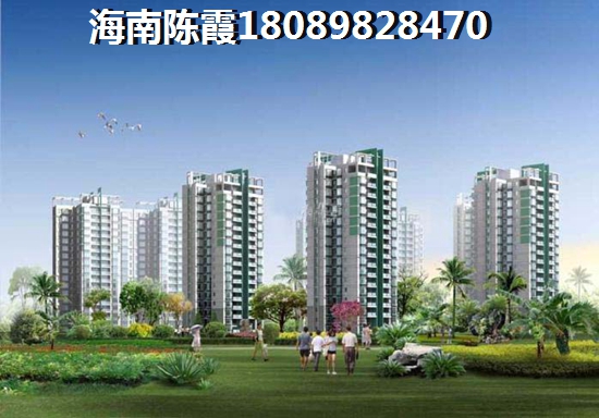海南未来房子生纸有多大？