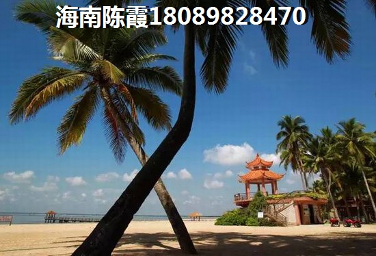 宋温言全文免费阅读