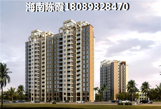 白马井到底怎么样