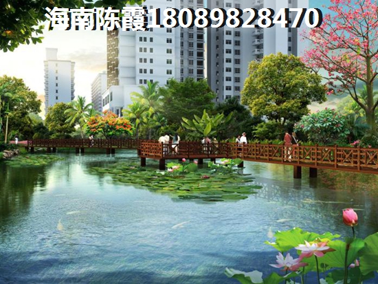 儋州城市明珠购房条件全面解读，等你来拥有！