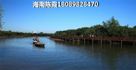《张学友的<你的承诺是什么>》