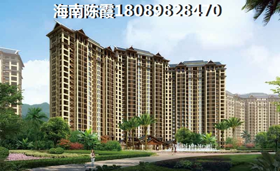 清流县创业2025车载导航加盟店哪些品牌风险低