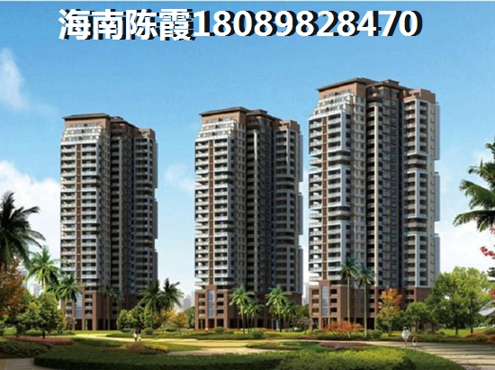 景点海鸥爱吃什么