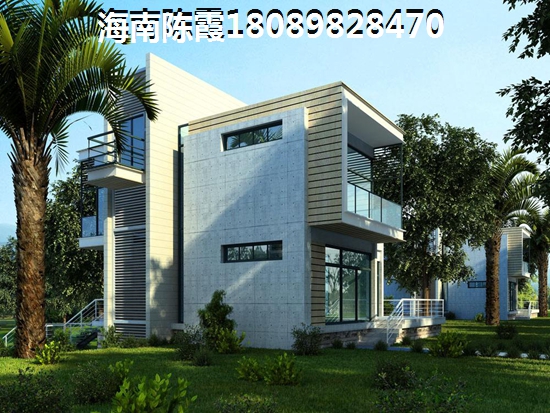 《掌握旋律，轻松实现梦想：学会在风中坚定前行》